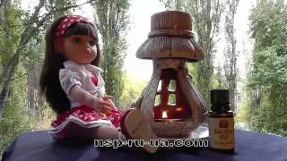 Осенний натюрморт с маслом чайного дерева NSP