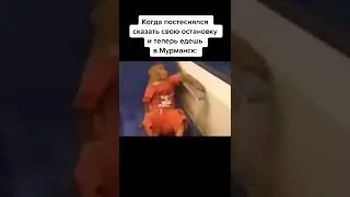 Лучшие тикток мемы 