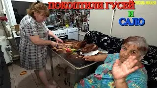 ПОСАДИЛИ РАССАДУ / ПРИГОТОВИЛИ САЛАТ ЦЕЗАРЬ / НАЛОВИЛИ РЫБЫ / РЕМОНТ ГАНА /ВЕЩИ ОТ ЛЮБИМОГО ВАСИЛЬКА