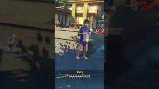 Genshin Impact Memes - When Xiao got a staff of Homa
