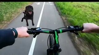 Катание на велосипеде. Тренировка в лесу.