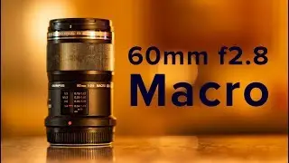 Olympus 60mm F2.8 Macro - a GREAT MFT macro lens