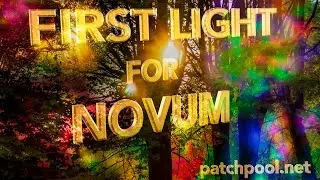 Dawsome Novum – Golden Light Split
