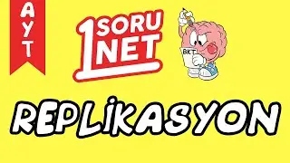 Replikasyon /sayfa 147/6 / AYT Biyoloji