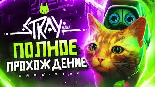 Прохождение Stray