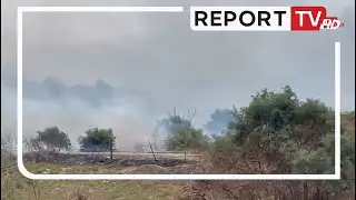 Vlorë/ Zjarr i fuqishëm pranë autostradës në Panaja, shkrumbohen bimësi dhe ullishta!