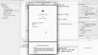 UIWebView : How to display PDF file. Swift 3.0