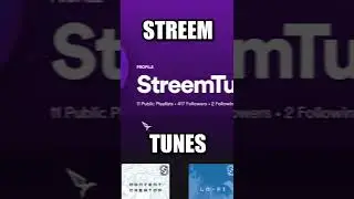 Free DMCA Music for Twitch, YouTube & Facebook Gaming | Streemtunes