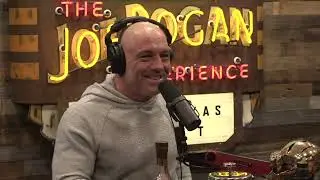 Joe Rogan Experience #1946 - Protect Our Parks 7