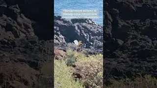 Эмоциональная Стабильность
