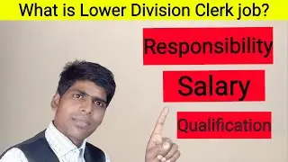 What is lower division clerk job? What are the duties and responsibilities of LDC?