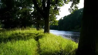 Nature Sound Effects - Water Sounds (Free to use)