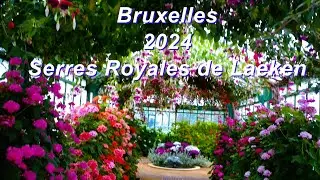 2024 Serres Royales de Laeken Bruxelles