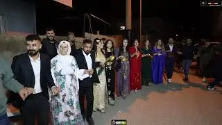 Recep Acar Düğünü Part 1 Acar Ailesinin Görkemli Düğünü Müzik-Hunermend Hısen Silopi