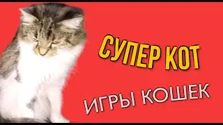 Супер кот.Игры кошек.#Лучшедома #Stayhome