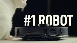 Living with the BEST robot vacuum of 2024 (Roborock S8 MaxV Ultra LONG-TERM REVIEW)