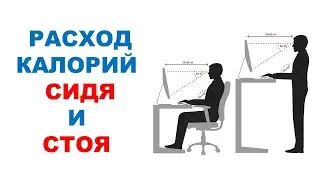 Разница в расходе калорий в положении сидя и стоя / Научный эксперимент