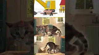 LEARNING TO BE CAREFUL AND CAUTIOUS WITH THE LITTLE KITTEN
