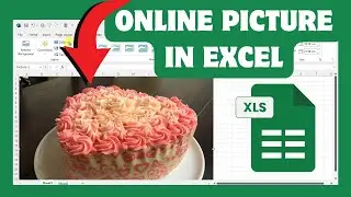 How To Insert Online Image In Excel | How To Add Online Picture In Excel