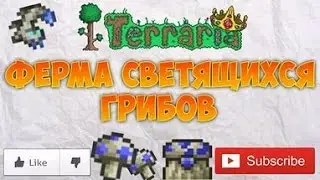 террария часть 12 ФЕРМА ГРИБОВ?