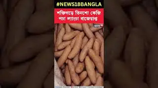 Saktigarhএ তিনশো কেজি পচা ল্যাংচা বাজেয়াপ্ত #shorts