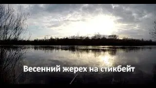 Жерех на стикбейт Zipbaits Rigge Raphael. GoPro