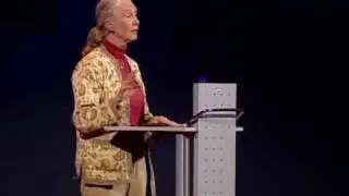Helping humans and animals live together | Jane Goodall