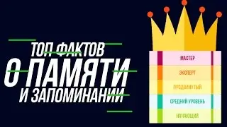 ТОП ФАКТОВ О ПАМЯТИ И ЗАПОМИНАНИИ, МНЕМОНИКИ, УПРАЖНЕНИЯ