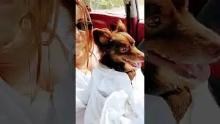 Накупался, теперь сохнет 