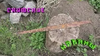 Кабаны,кабаны...