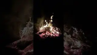 Просто вечер