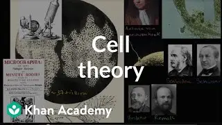 Cell theory | The cellular basis of life | High school biology | Khan Academy