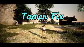 BDO console Tamer ww Fix