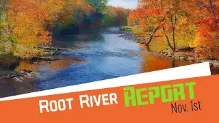 Root River Report November 1st 2024