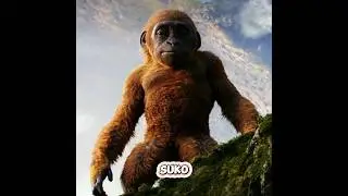 Baby Kongs Real Name is SUKO in GODZILLA x KONG: THE NEW EMPIRE... #shorts