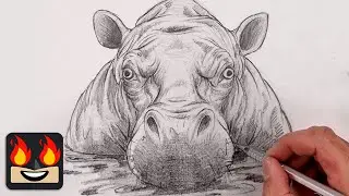 How To Draw a Hippopotamus | Step-By-Step Sketch Tutorial