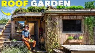 Shed-Top Garden: How to Grow Food in a Tiny Space