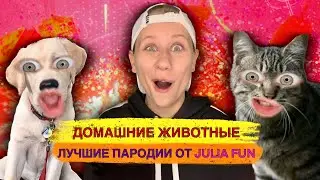 Домашние Животные! Лучшие Пародии