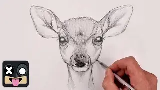 How To Draw Baby Deer Fawn | Sketch Tutorial