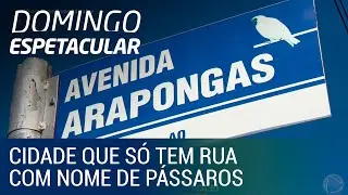 Achamos no Brasil mostra cidade que só tem rua com nome de pássaros