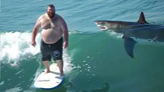 100 Times Sharks Attacked Humans Caught on Camera!