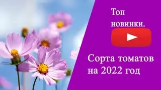 Топ сортов  томатов 2022.  Мои новиночки.